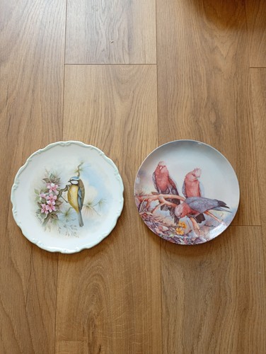 Bird collectors plates - 2,