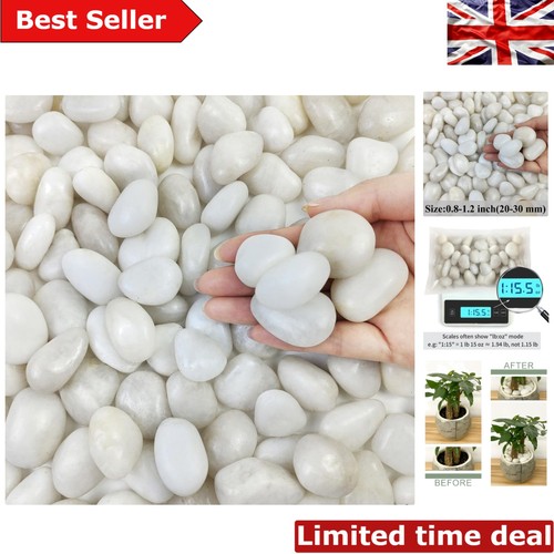 Elegant white pebbles - white,