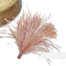 Ostrich & Stripped Coque