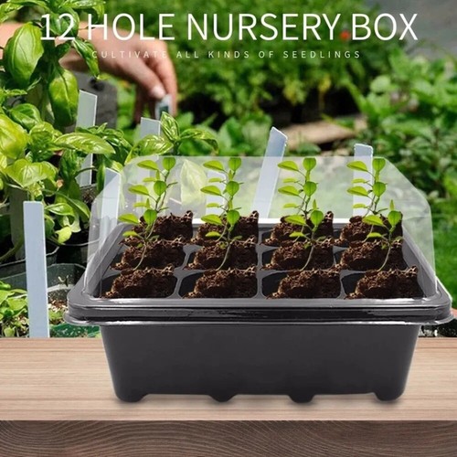Pack seedling trays seed - 4,