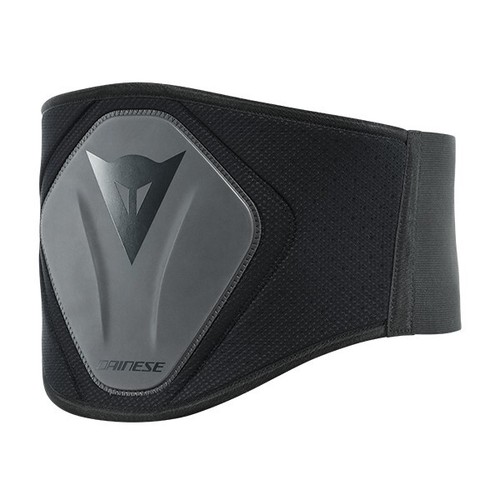 Dainese motorcycle kidney - dainese,