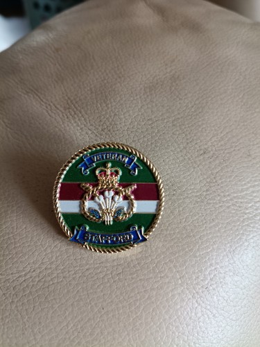 Staffordshire regiment pin - staffordshire,