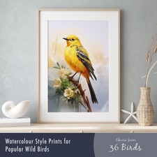Watercolour Bird Prints –