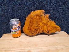 Beautiful walnut Solid Wood off cut, its a beauty and unique.