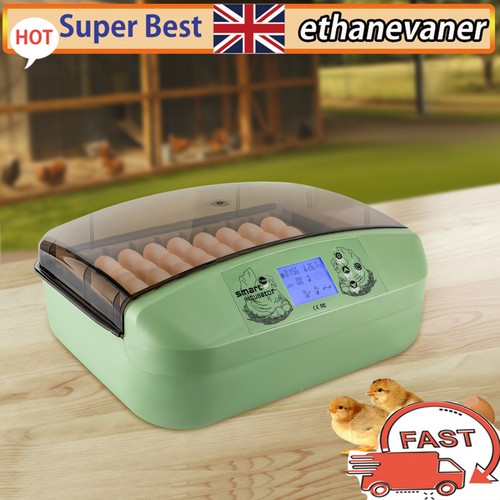 Eggs incubator temperature - 32,