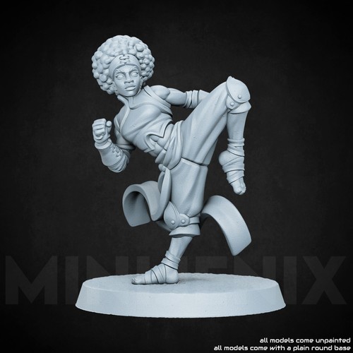 Fighter monk girl - fighter,