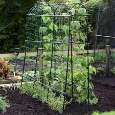 Garden Gear Pea Tunnel Arch