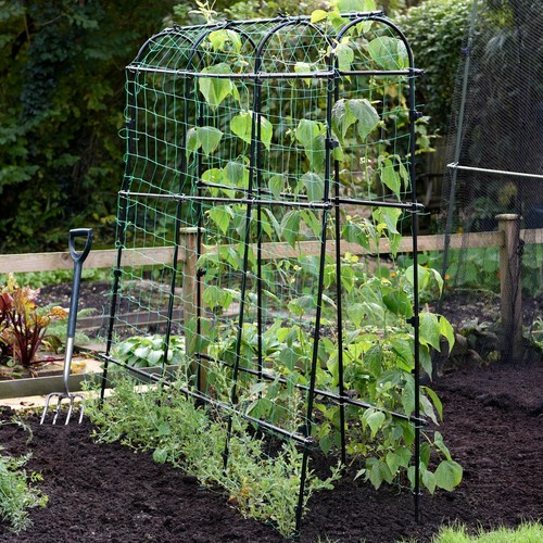 Garden gear pea - pea, tunnel