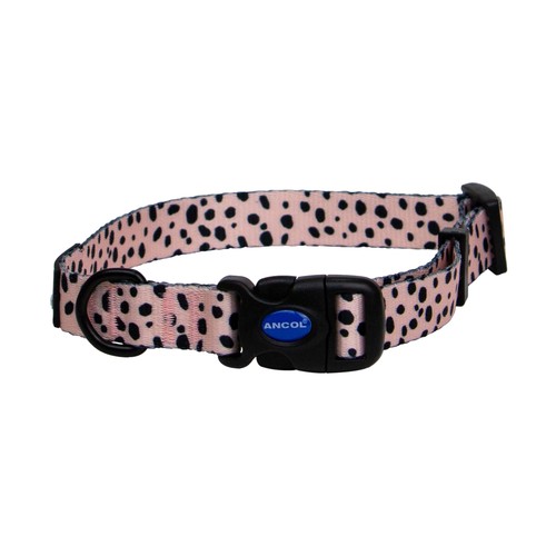 Ancol soho dalmatian - soho,