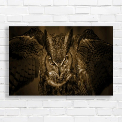 Stunning great horned - stunning,