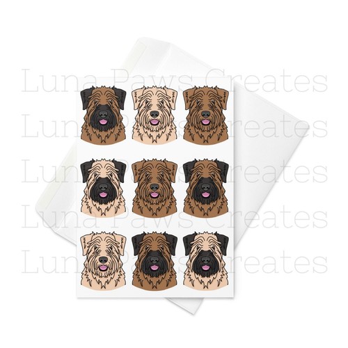 Soft coated wheaten terrier - soft,
