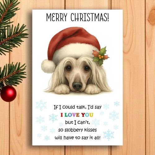 Chinese crested christmas card - crested,