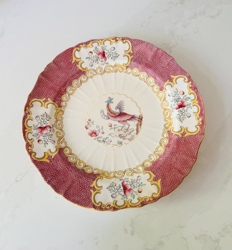 Antique minton pink cockatrice - pink,