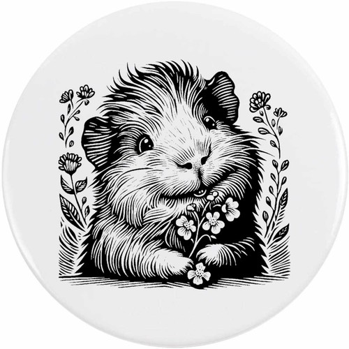 Cute guinea pig with - 'cute,