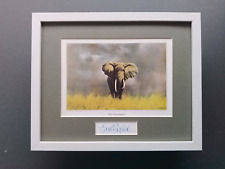 David Shepherd print 'Wise Old