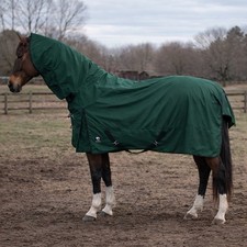 Horsemasters Turnout Rug