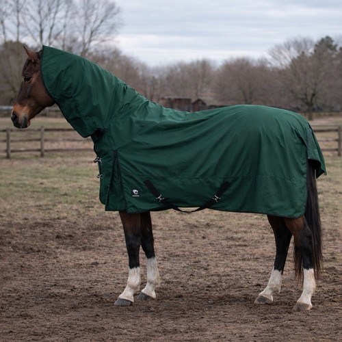 Horsemasters turnout rug - horsemasters,