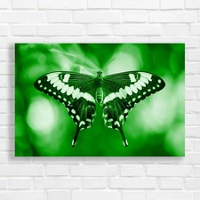 Unlocking The Mystery