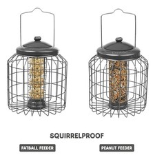 Squirrel Proof Hanging Bird
