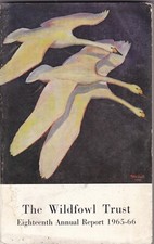 Wildfowl Trust Eighteenth Annual Report 1965-66