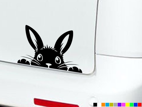 Peeking rabbit eyes boot funny - rabbit,