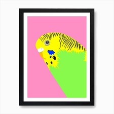 Green Budgie Art Print Framed