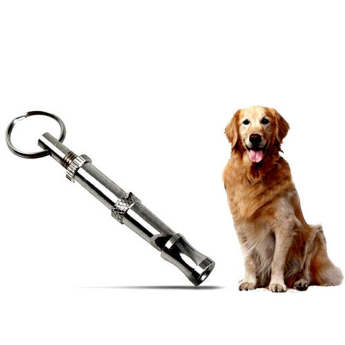Dog whistle trainer recall - dog,
