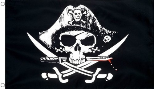 Pirate flag 3 - pirate, x