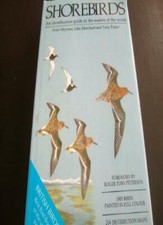 Shorebirds: An Identification