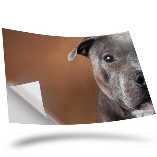 Vinyl sticker cute blue - cute,