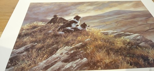 Mick cawston the - mick, 'the