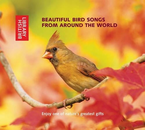 Beautiful bird songs - beautiful,