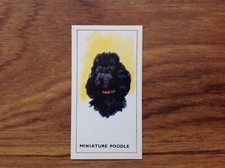 GP Tea Dogs Heads Miniature