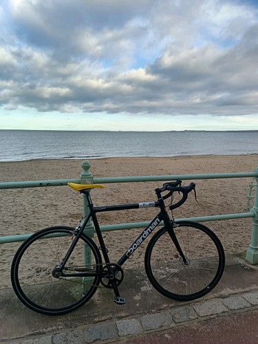 Boardman elite track - boardman,
