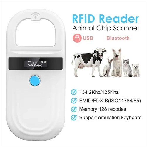 Pet dog cat - pet, reader