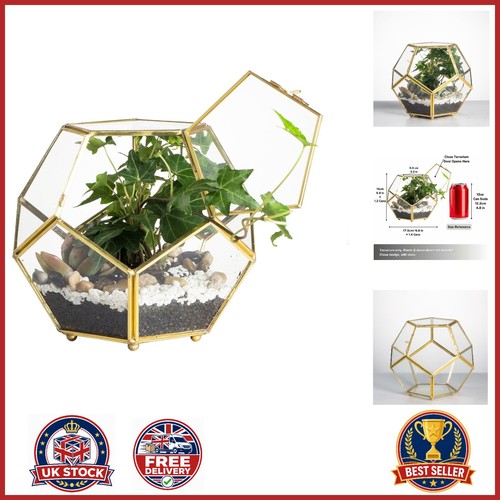 Pentagon glass terrarium with - glass,