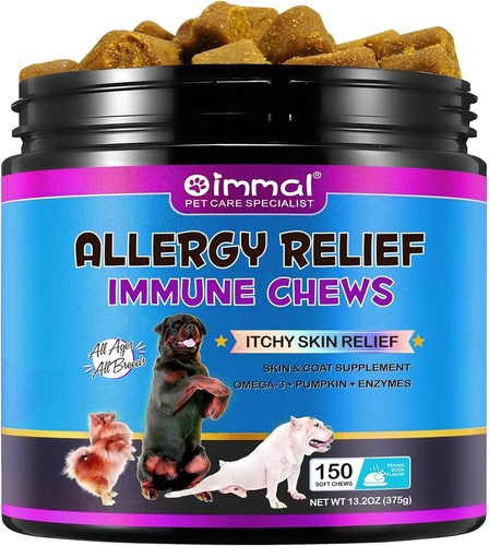 Dog allergy itchy skin - allergy,