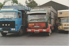 Larger Photo, Merc Livestock Box, Oliver Bros, Denholm