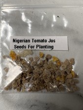 Nigerian Planting RED TOMATO