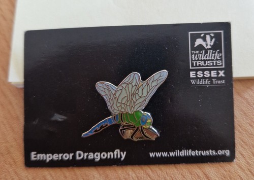 Emperor dragonfly pin badge - dragonfly,