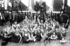 Wqz-49 Bathing Machine Horses