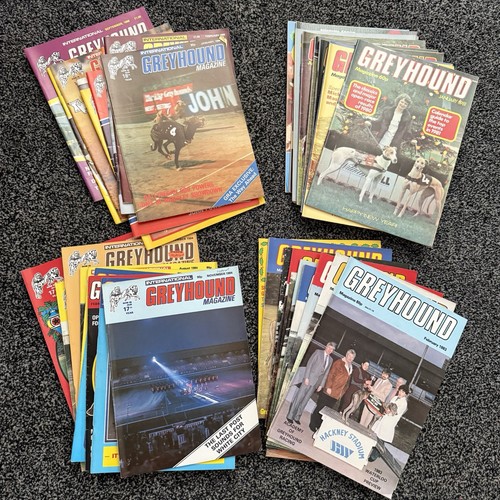 Monthly greyhound dog - 38,