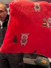 Marks and Spencer Percy Pig Christmas cushion brand new 