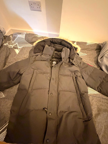 Canada goose chateau arctic - goose,