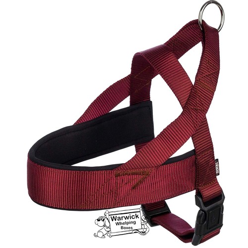 Dog norwegian harness - harness, padded