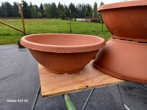 Garden planter flower - , bowls