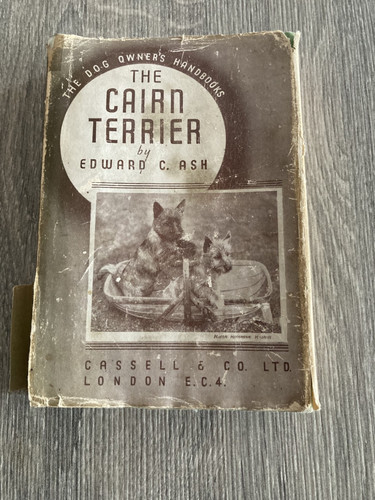 The cairn terrier edward - terrier,