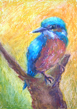 Kingfisher Framed Original Oil