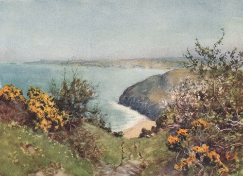 Carbis bay coastal view of - coastal,