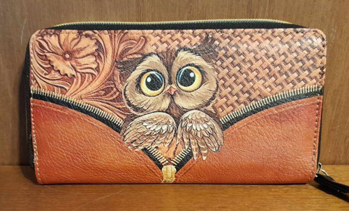 Cute big eyed - eyed, owl